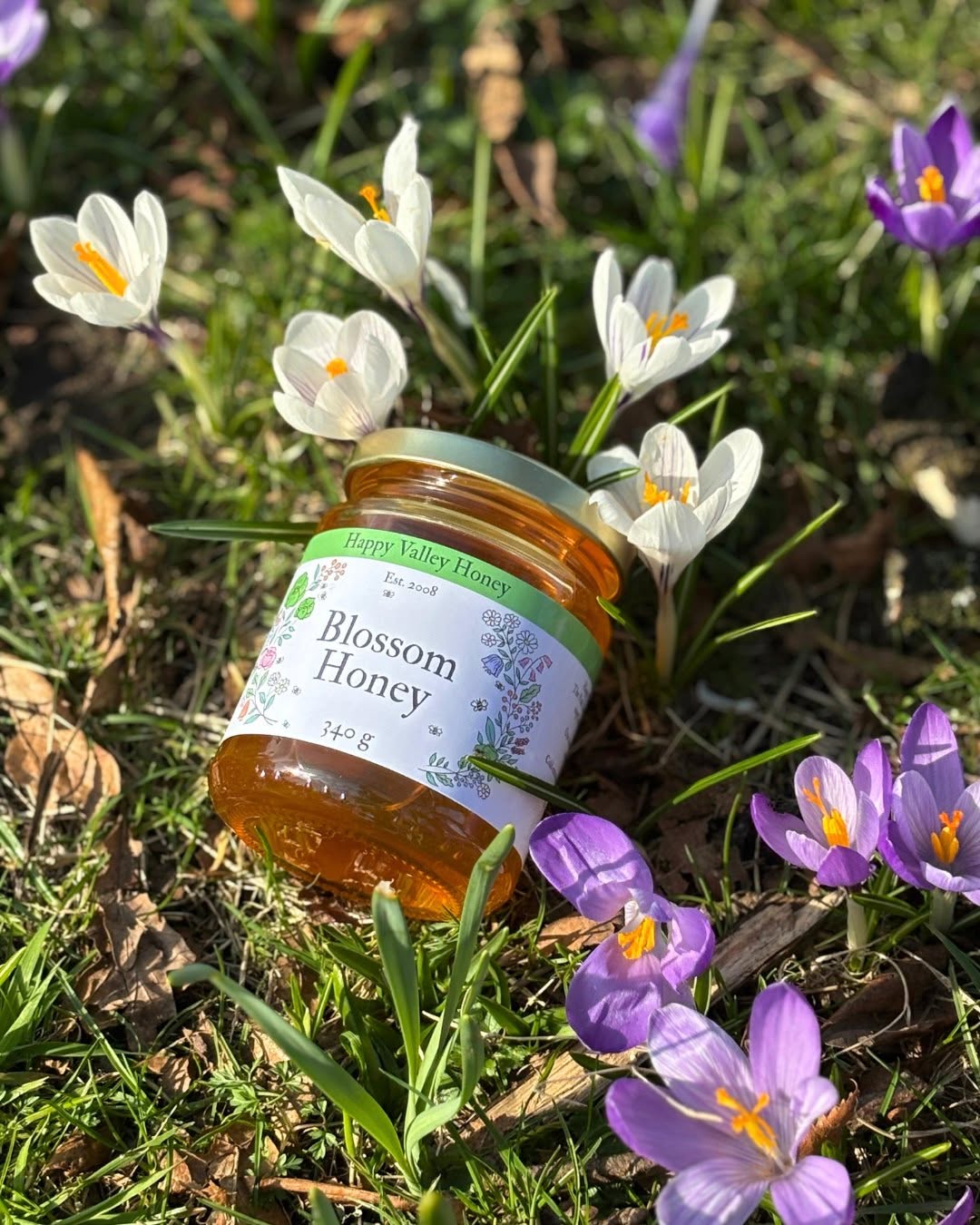 Raw Blossom Honey