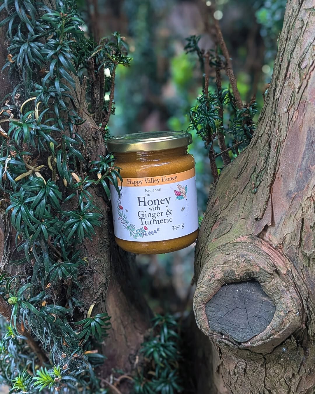 Organic Ginger & Turmeric Honey